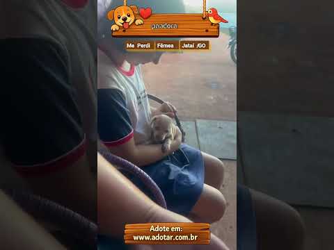 Vídeo de pandora 
