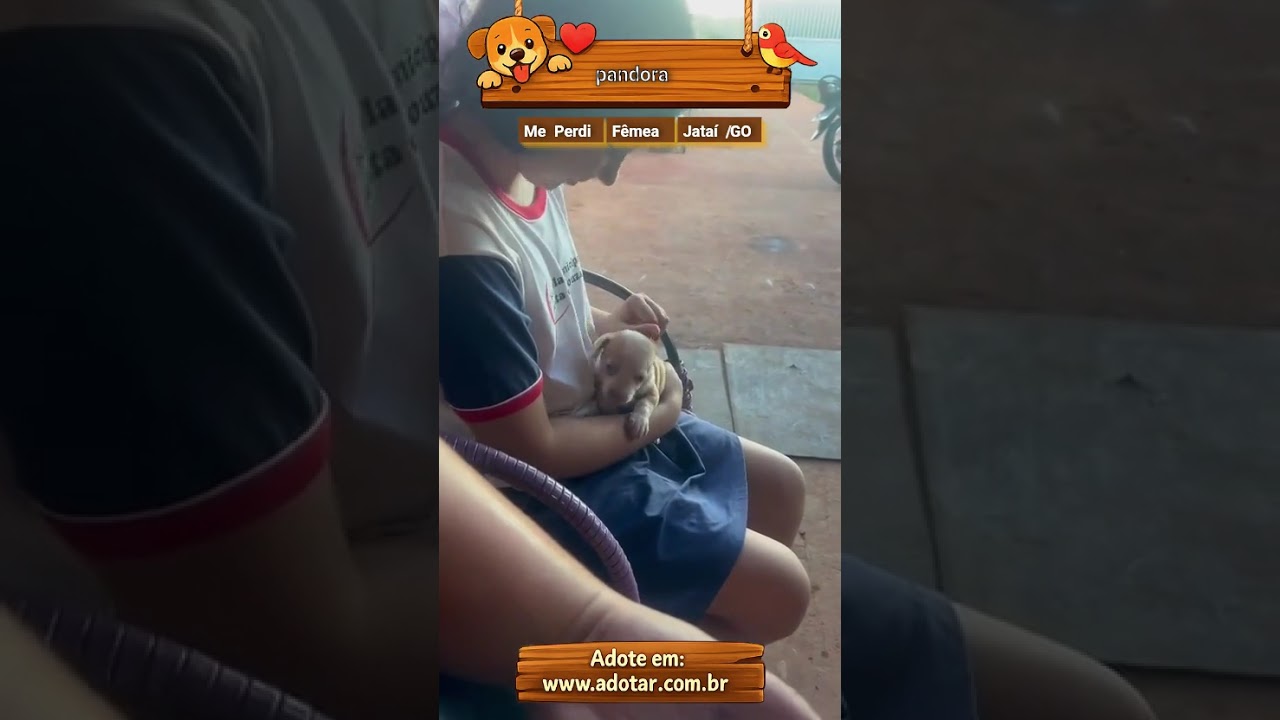 Cachorro raça SRD-ViraLata idade Abaixo de 2 meses nome pandora 