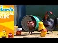 Official Games Fun Clips From Animation LARVA