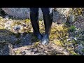 Aigle Start Schwarz Felsen