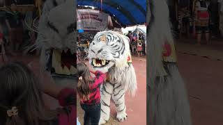 Download lagu DIGIGIT MACAN - JARAN KEPANG BEKSO KRIDHO ESTI #shorts #jarankepang #kudalumping #reog #sumowono mp3