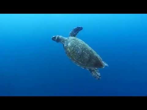 Bergpredigt Jesus Matthäus mit schöner Musik ist nicht von dieser Welt