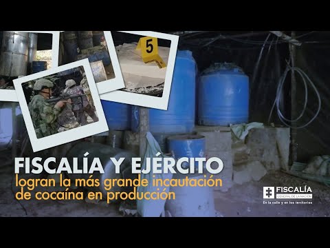 Fiscal Barbosa: Fiscalía y Ejército logran la más grande incautación de cocaína en producción