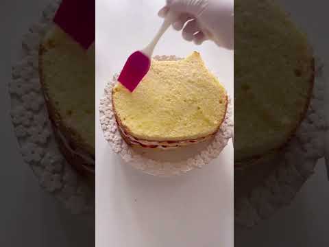 園芸 キャスターケーキ