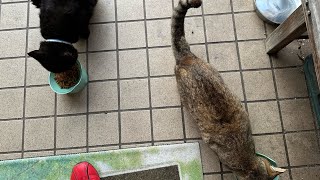 はい。お待たせ〜