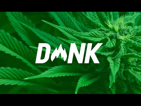 Alexander Lewis x Medasin - Coexist