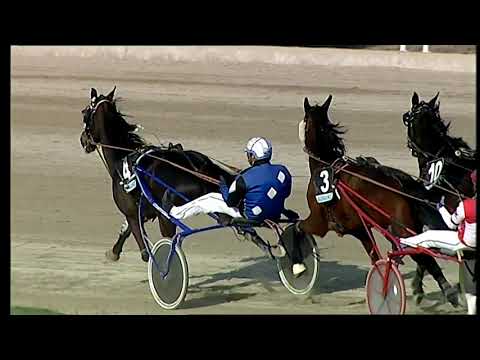 Napoli Trotto 28/02/2021 - 4ª corsa