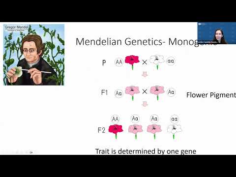 Genetics and Alopecia Areata: What We Know
