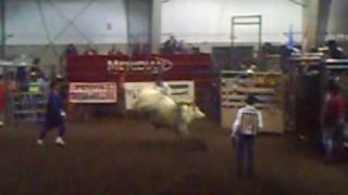 preview picture of video 'camrose steer riding'