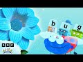 Summer Flowers With Alphablocks Learn To Read Officialalphablocks