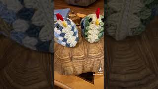 Crochet Chickens using Two Granny Squares | Red Heart Granny Square Yarn | CrissyCrochetNC
