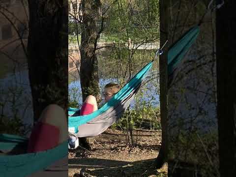 New World video thumbnail
