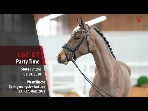 Springyoungster Auktion Lot 07 Party Time Stute v.  Johnnie Walker - Cantos