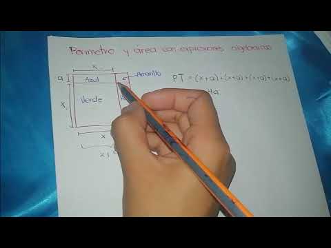 Perímetro y área con expresiones algebraicas