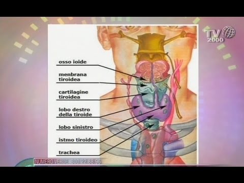 Massaggio del rullo del rachide cervicale Video Massaggio in osteocondrosi della colonna cervicale
