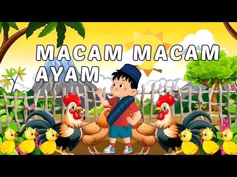 MACAM-MACAM AYAM ♥️👏👋 Lagu Anak Terbaru | Lagu Anak populer | Lagu Anak trending & Viral 