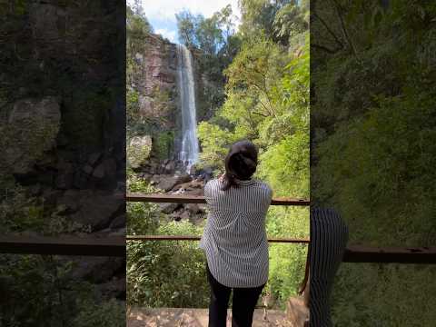 SIMPLEMENTE MISIONES 🇦🇷 #saltosenmisiones #saltopaca #panambi #viajes #naturaleza #travel #shorts