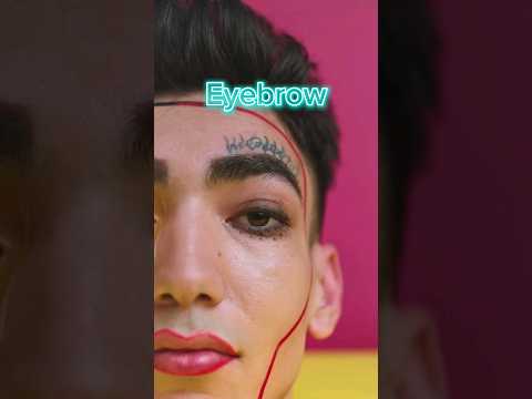 EYEBROW - MEDICAL DEFINITION | Medical Consecutive Interpreting