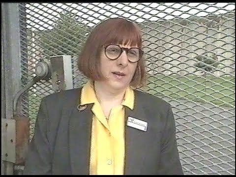 Tidsandan (SVT 1993-10-07)