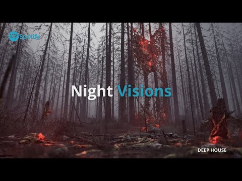 Rashid Ajami & Madraas - Love Is Animal (Original Mix) [When We Dip XYZ] | BEST DEEP HOUSE 2022