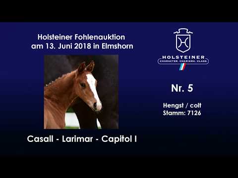 Holsteiner Fohlenauktion im Juni | Nr. 5 v. Casall - Larimar