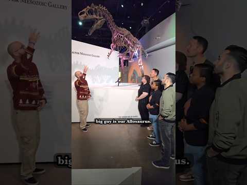 Allosaurus, Stegosaurus, Gorgosaurus, ...and Dorkosaurus #dinosaur #fossil #paleontology