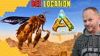 Queen Bee Location Scorched earth and how to tame