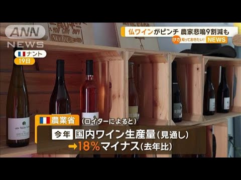 園芸 フランスの気候