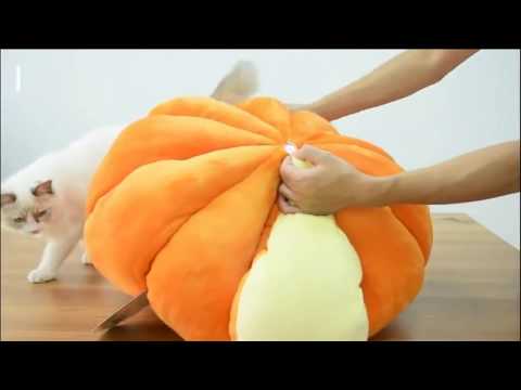 How to make your cat have a warm winter-Cat bed soft pumpkin shape - PAWZ Road