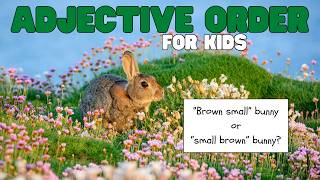 Adjective Order for Kids | Learn the correct placements of adjectives in a sentence