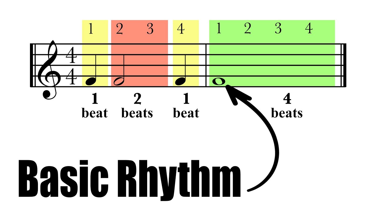 Understanding Basic Rhythm | Whole Notes, Half Notes, Quarter Notes | Music Theory Tutorial
