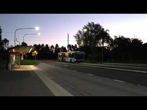 Bendy Articulated Bus arrives into Brickmakers' T-Way Stop Evening