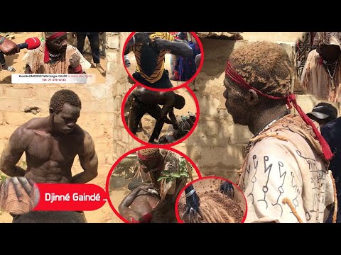 Karamba Dansokho  borom djinn yi l'enfant de Mbour 600.000 talibé djiinn ...