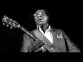 Albert King-Guitar Man