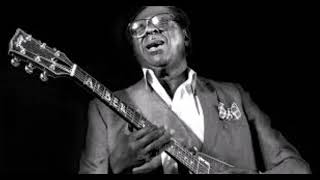 Albert King-Guitar Man
