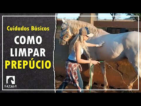 , title : 'Como limpar o prepúcio do cavalo - Cuidados Básicos | Cavalo Youtubano'