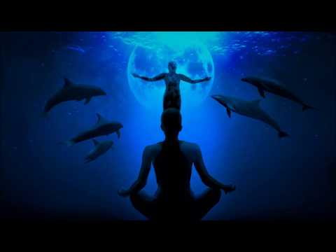 NEW MOON MEDITATION February 2022 - Dolphins meditation 🐬