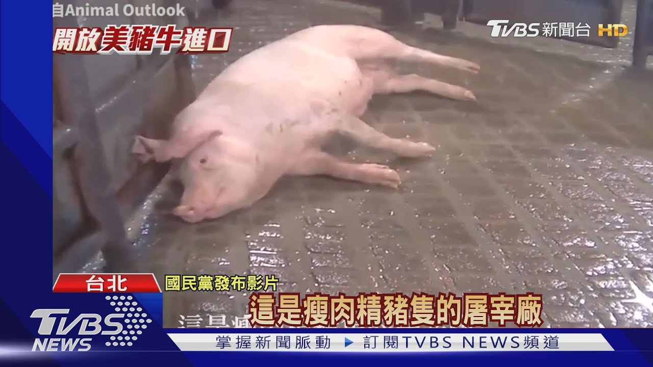 駁「藍PO萊豬顫抖片」　陳吉仲：可Google一下