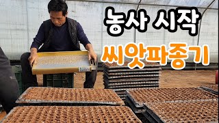 사람보다 10배는 빠른 적생채 씨앗 파종기 이거 씨앗파종 끝