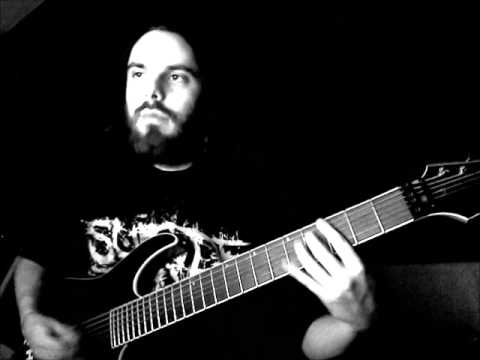 vildhjarta - shadow (bergström guitar play)