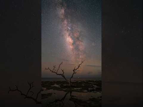 The Milky Way Galaxy