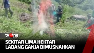Download lagu BNN Musnahkan Lima Hektar Ladang Ganja di Mandailing Natal | Ragam Perkara tvOne mp3 Download lagu BNN Musnahkan Lima Hektar Ladang Ganja di Mandailing Natal | Ragam Perkara tvOne mp3