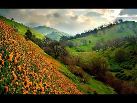 Dej puas ntws nce toj ( J- Vang)