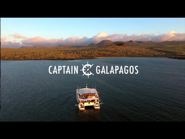 Galapagos Islands Holidays