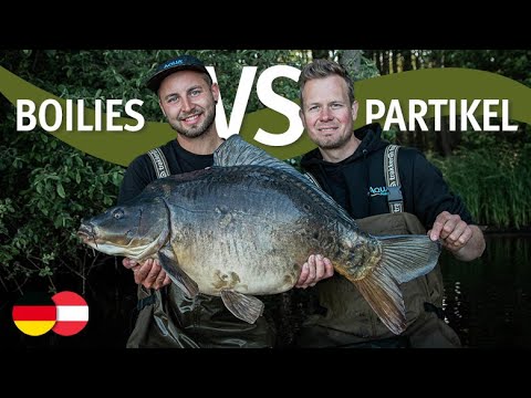 Boilies VS Partikel - mit Klaus Wegmann & Kai Köttelwesch | Karpfenangeln | Mais | Hanf | Tigernüsse