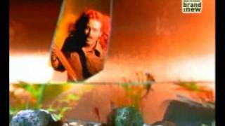 meat puppets - backwater.avi