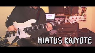 Hiatus Kaiyote 