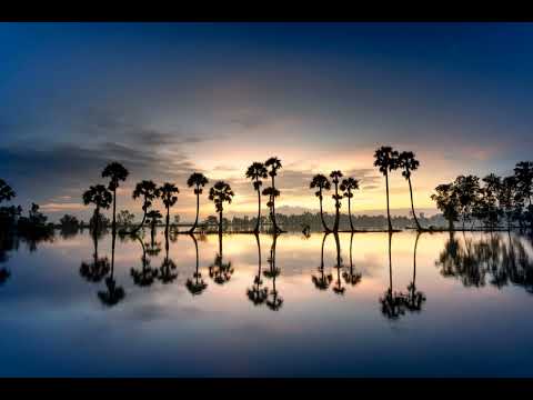 Radical Fantasy & Amir Telem - Kiss the sky (Kyotto Remix)[Progressive House]