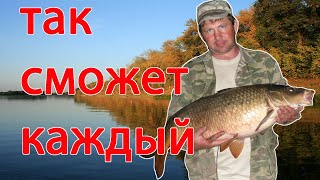 Где ловить сазана на дону в волгоградской области