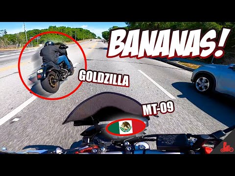 You won't BELIEVE which bike is FASTER! 😮